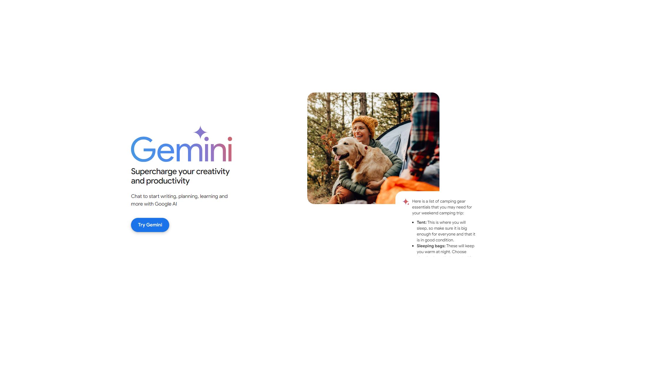 google gemini